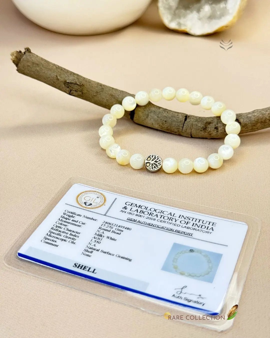 Trochus Shell Bracelet 