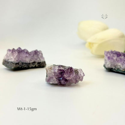 Calm In Your Palm Amethyst Cluster