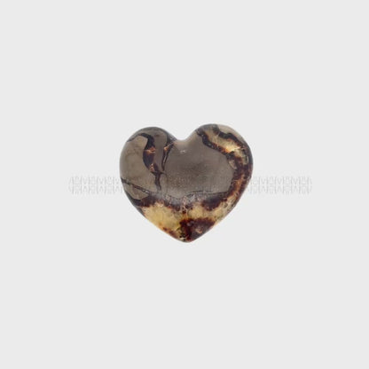 Sepatarian heart