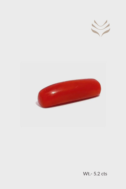 Red Coral - 5.2 CT