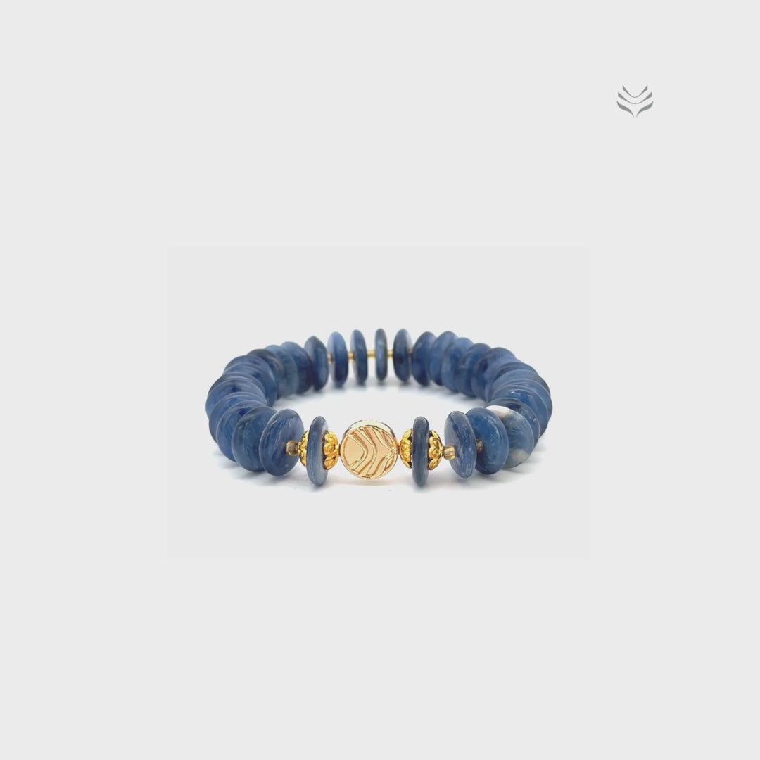 Take The Lead Kyanite Disc Bracelet 14mm