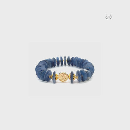 Take The Lead Kyanite Disc Bracelet 14mm