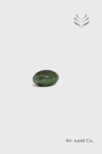 Elite Cats Eye - 6.64 Ct