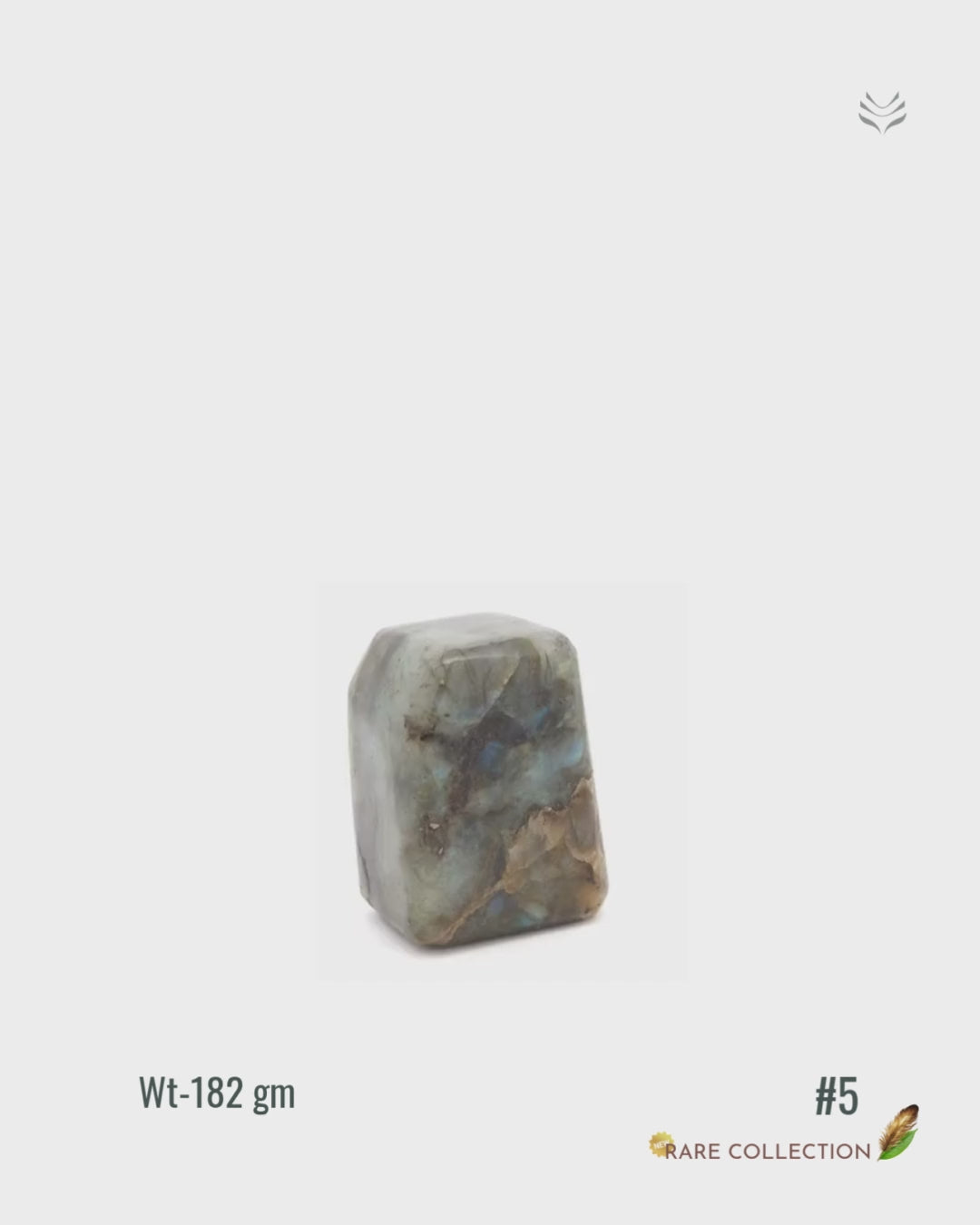 Inner Vision - Labradorite Free Form - 182gm #5