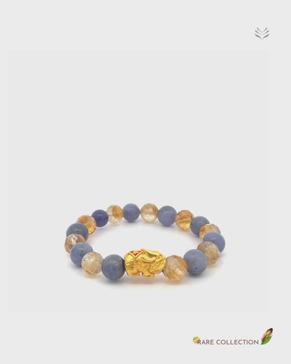 Multi Million Bucks Mixel