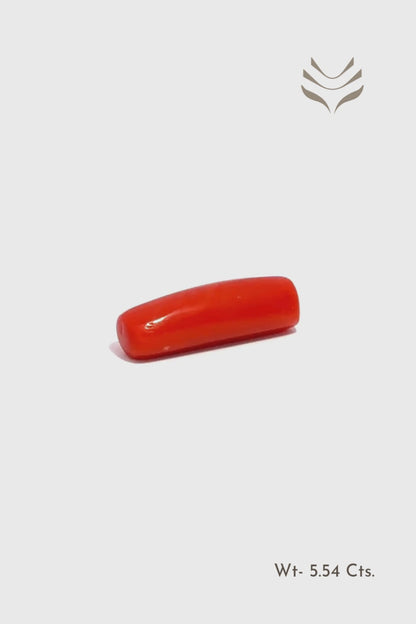 Red Coral - 5.54
