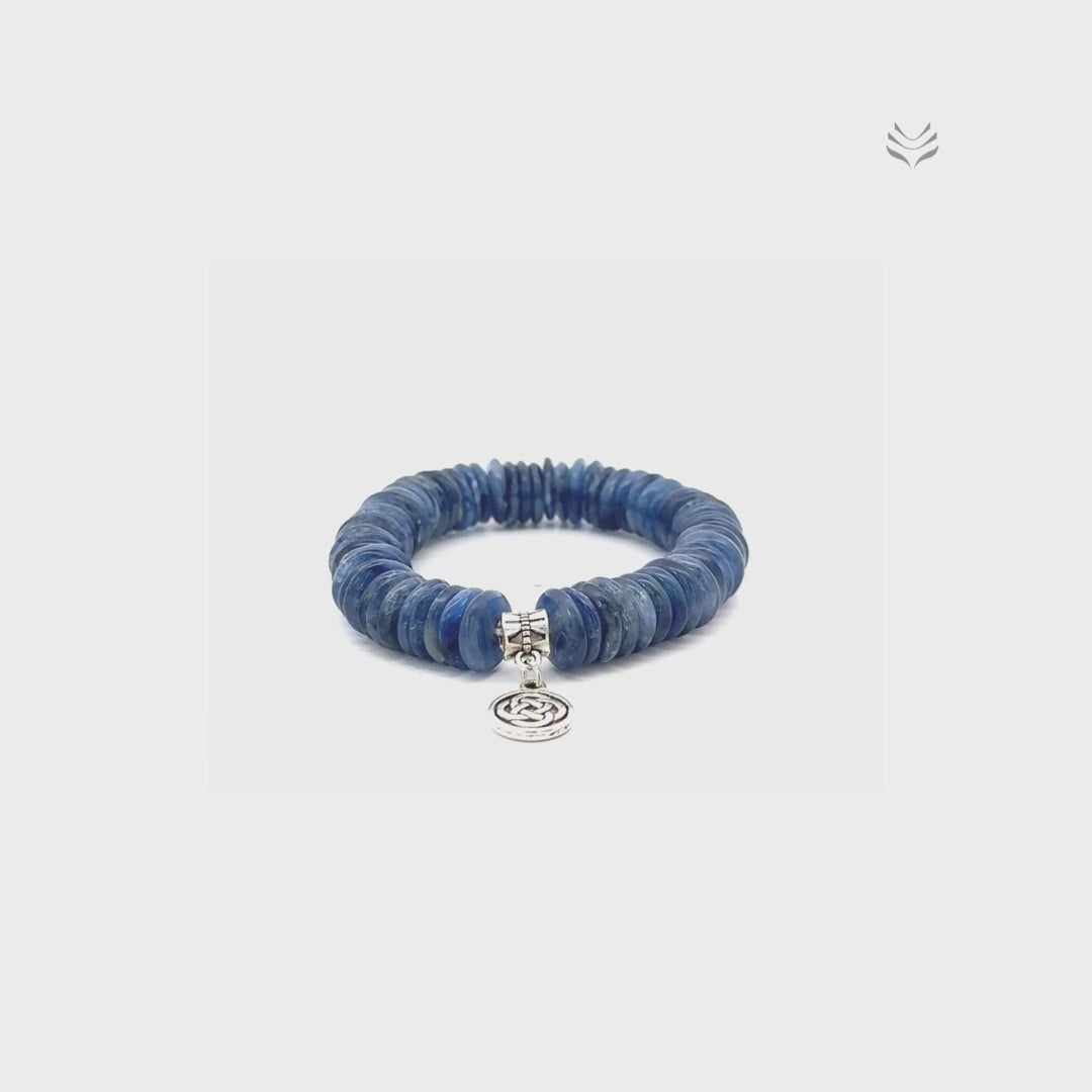 Take The Lead Kyanite Disc Bracelet 10mm