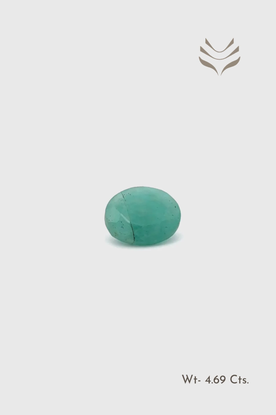 Load video: Faceted Amazonite - 4.690 Ct