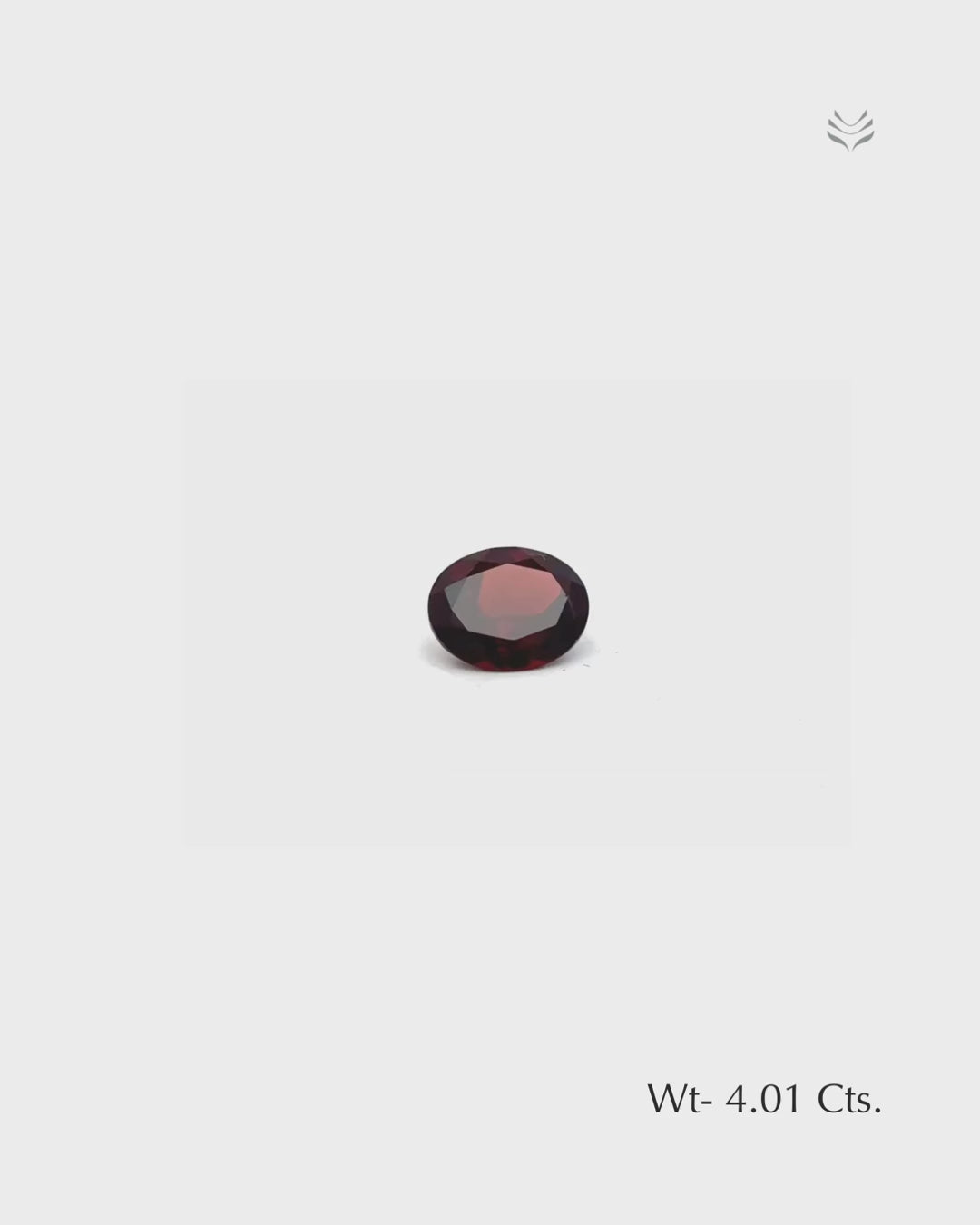 Load video: Mozambique Garnet - 4.01 Ct