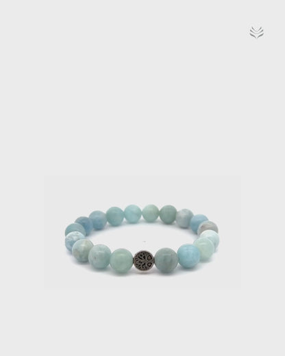 Talisman Of Good Fortune Aquamarine Bracelet