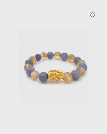 Multi Million Bucks Mixel