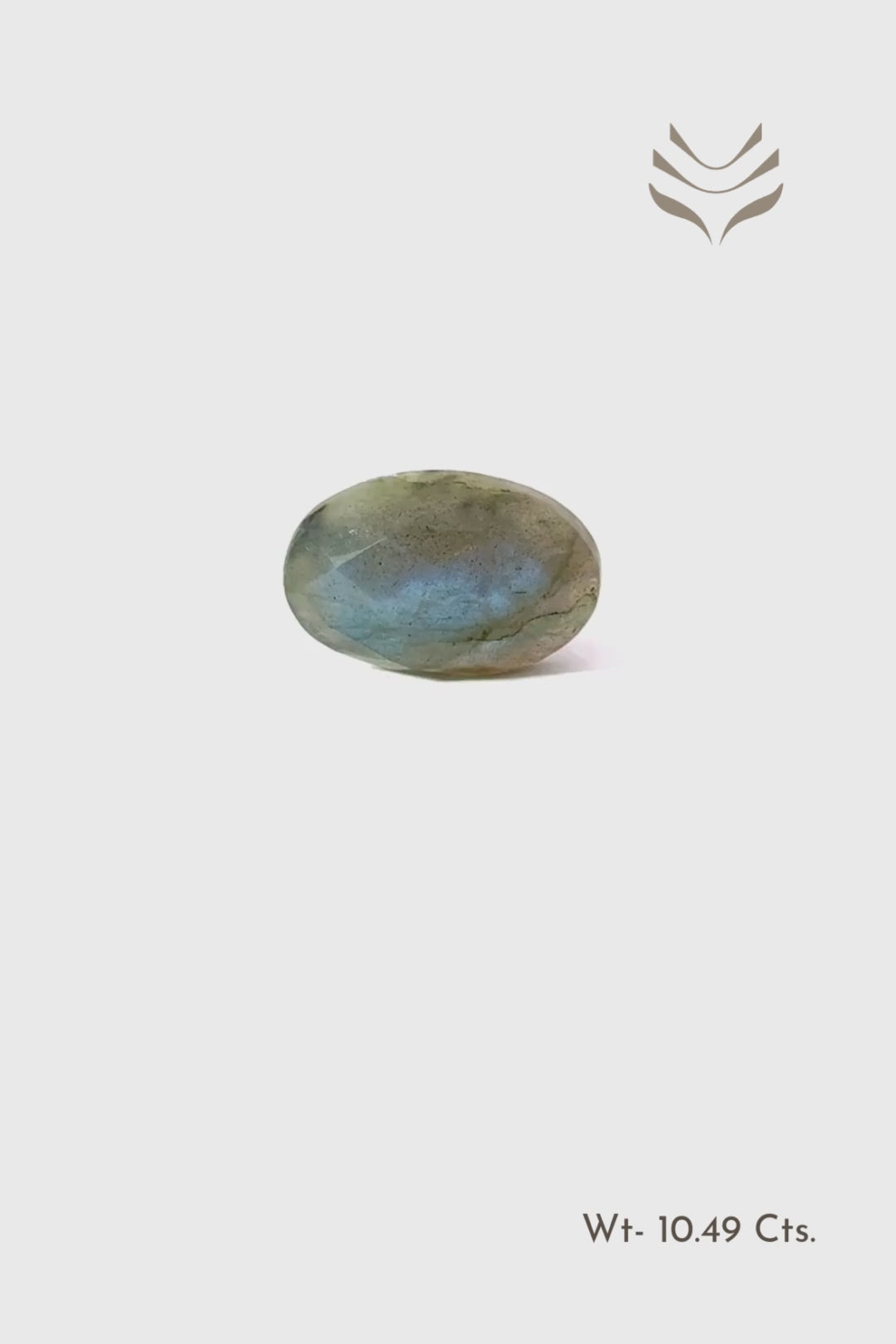 Load video: Faceted Labradorite- 10.49 Ct