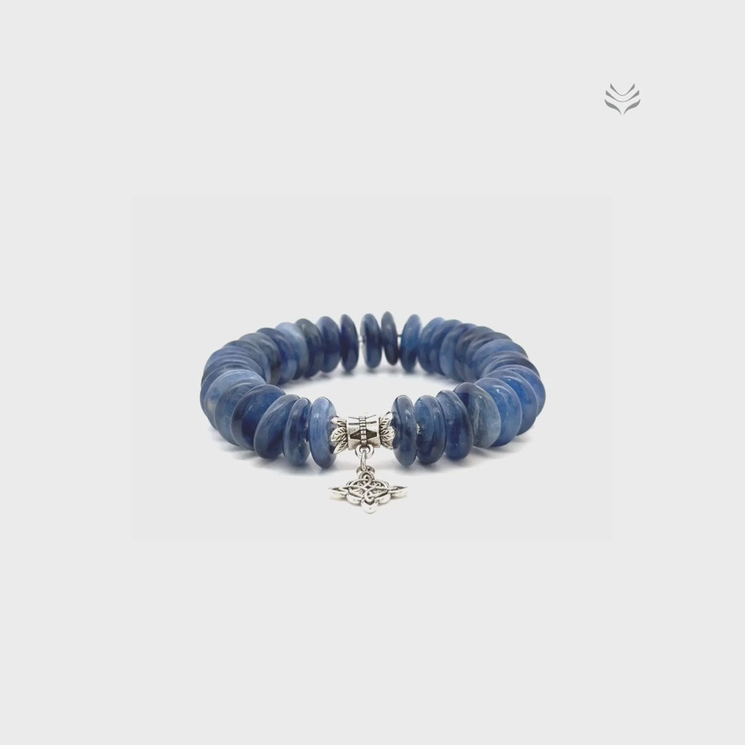 Take The Lead Kyanite Disc Bracelet 12mm