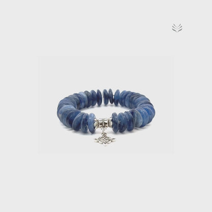 Take The Lead Kyanite Disc Bracelet 12mm