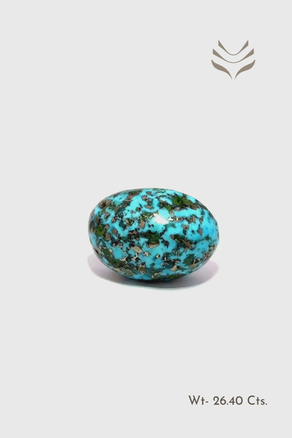 Elite Turquoise - 26.4 Ct
