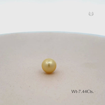 Pearl - 7.44 Ct